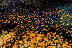 赤峰星辰售電公司電話(huà)號(hào)碼查詢(xún)