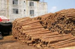 赤峰松木加工廠家電話號(hào)碼