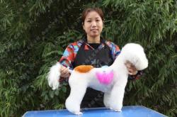 赤峰市寵物美容館電話地址查詢