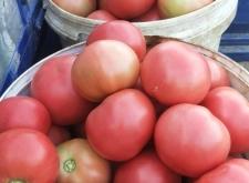 赤峰紙草批發(fā)市場電話號碼