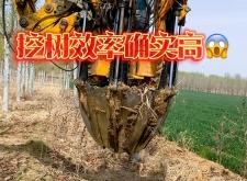 赤峰市挖樹機(jī)租賃電話號(hào)碼