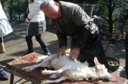 赤峰市大廟賣豬電話地址查詢