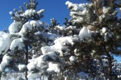 赤峰寧城縣艷子酒店電話號碼