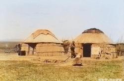 赤峰市牛糞收購電話號碼是多少