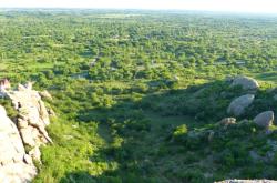 赤峰矮框球場(chǎng)電話號(hào)碼多少號(hào)