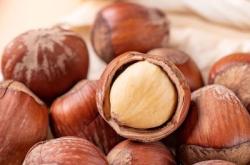 赤峰榛子干果批發(fā)電話多少號