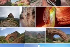 赤峰四道溝蘑菇基地電話號(hào)碼