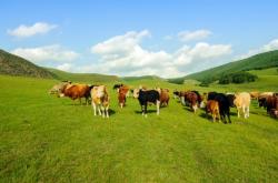 富盈超市赤峰店電話號碼查詢