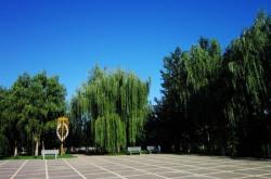 赤峰新城區(qū)黑坑社區(qū)電話號(hào)碼