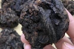 赤峰市腌菜廠招工人電話號碼