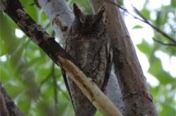 赤峰林業(yè)研究所地址電話號(hào)碼