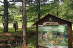 赤峰市阿旗林業(yè)公安電話號(hào)碼