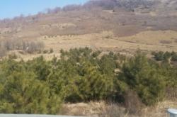 內(nèi)蒙古赤峰要債公司電話號碼