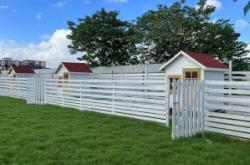 赤峰市狗狗幼兒園電話號碼