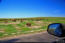 赤峰阿旗租自行車電話號(hào)碼