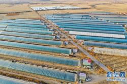 內(nèi)蒙赤峰寧城代駕電話號碼是多少