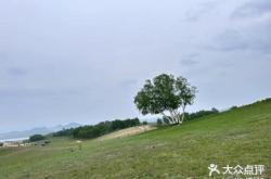 赤峰營(yíng)地教育局官網(wǎng)電話號(hào)碼