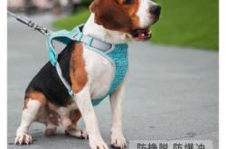 赤峰市狗狗出售直播間電話號(hào)碼