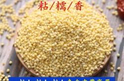 赤峰大磊手機批發(fā)店電話號碼