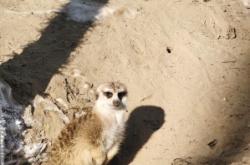 赤峰小鹿動物園電話號碼查詢