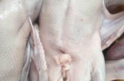 赤峰凍鵝批發(fā)市場電話號(hào)碼