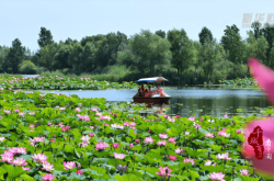 赤峰千黛美容院電話地址查詢