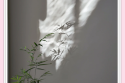 內(nèi)蒙古赤峰花店電話多少號(hào)