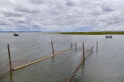 赤峰諾比寵物店電話地址查詢