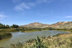 赤峰市烏丹鎮(zhèn)衛(wèi)校電話號(hào)碼