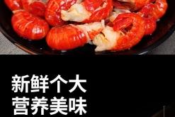 赤峰冷凍龍蝦批發(fā)電話多少號