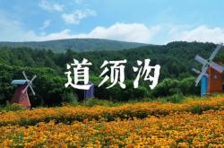 內(nèi)蒙古赤峰寧城粉條廠電話號(hào)碼