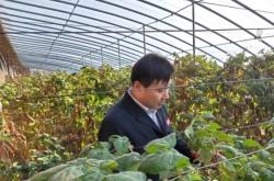 赤峰樹莓采摘基地電話號碼查詢