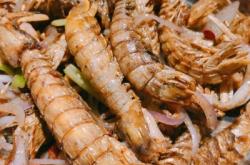 赤峰美食小韓莊店電話號(hào)碼查詢