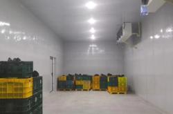 赤峰市豬肉冷庫(kù)批發(fā)電話號(hào)碼