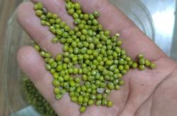 赤峰帝豪綠豆冰柜電話多少號