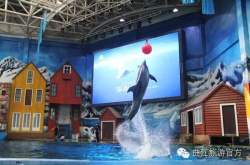 赤峰市夢幻海樂世界電話號碼