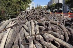 赤峰回收橡膠油廠家電話號碼