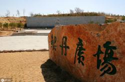 赤峰采草莓基地電話多少號