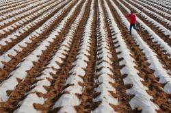 赤峰林東地膜廠電話號碼查詢