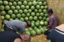 赤峰賣水果直播間電話是多少號