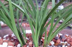 赤峰蘭炭經(jīng)銷處電話地址查詢