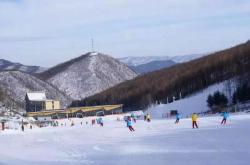 赤峰旺龍服裝廠地址電話號碼