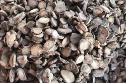 赤峰牛膝批發(fā)電話多少啊