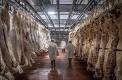 赤峰領(lǐng)鮮食材加工廠電話號碼