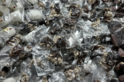 赤峰紅山區(qū)干果批發(fā)電話號(hào)碼