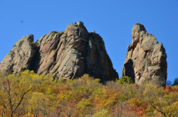 赤峰林西防護(hù)網(wǎng)電話號碼