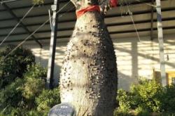 赤峰植物生態(tài)園電話號(hào)碼查詢