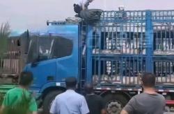 赤峰生豬加工廠電話號碼多少