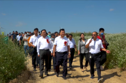 赤峰收蕎麥皮的地方電話號(hào)碼