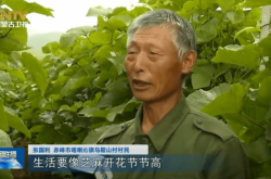 赤峰養(yǎng)羊場出租電話多少號